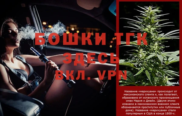 СК Балахна