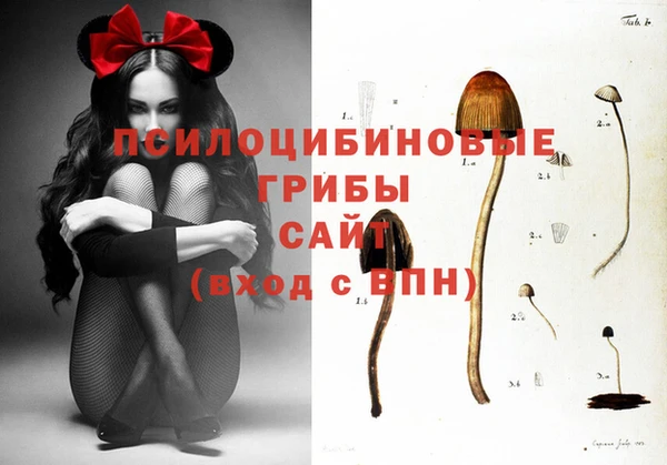 СК Балахна