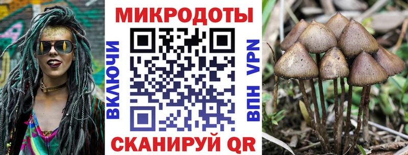 Галлюциногенные грибы прущие грибы  OMG онион  Болгар 